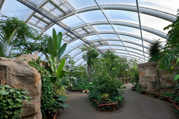 ETFE膜結(jié)構(gòu)-燁興膜結(jié)構(gòu) ETFE膜結(jié)構(gòu)1 (20).jpg